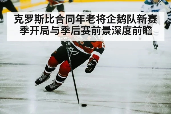 克罗斯比合同年老将企鹅队新赛季开局与季后赛前景深度前瞻