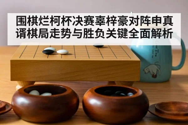 围棋烂柯杯决赛辜梓豪对阵申真谞棋局走势与胜负关键全面解析
